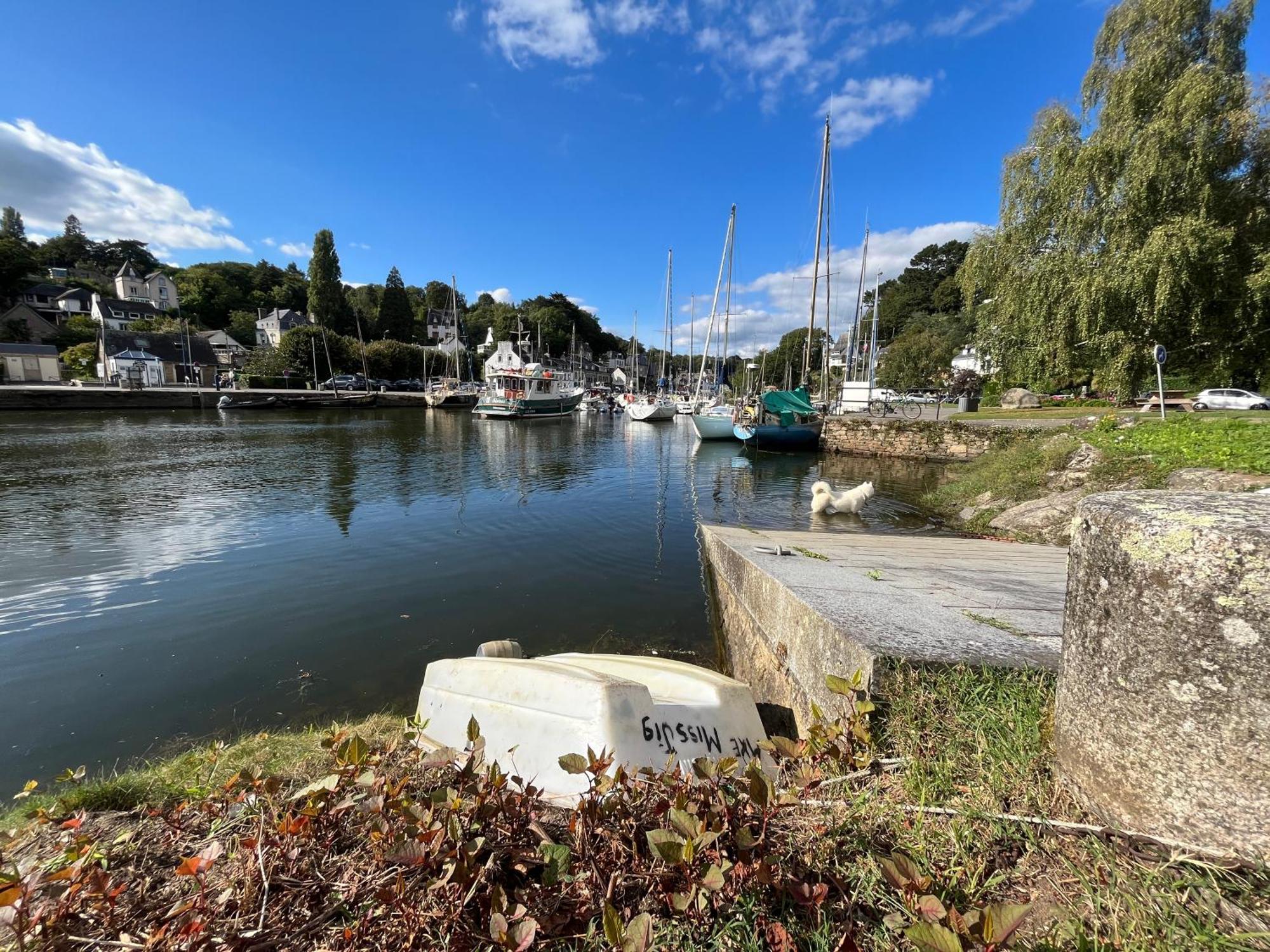Appartamento -Avel Mor- T2 2Eme Etage Centre Wifi Pont-Aven Esterno foto